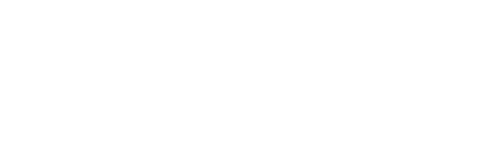 Blackout Auto Detailing & Restoration